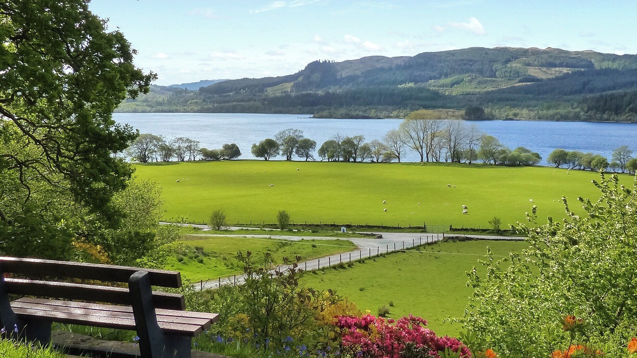 Photo of Others in Dalmally