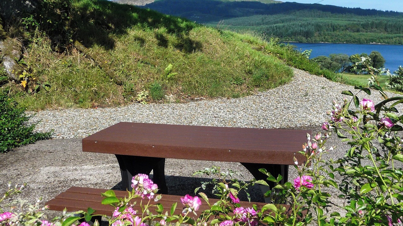 Photo of Others in Dalmally