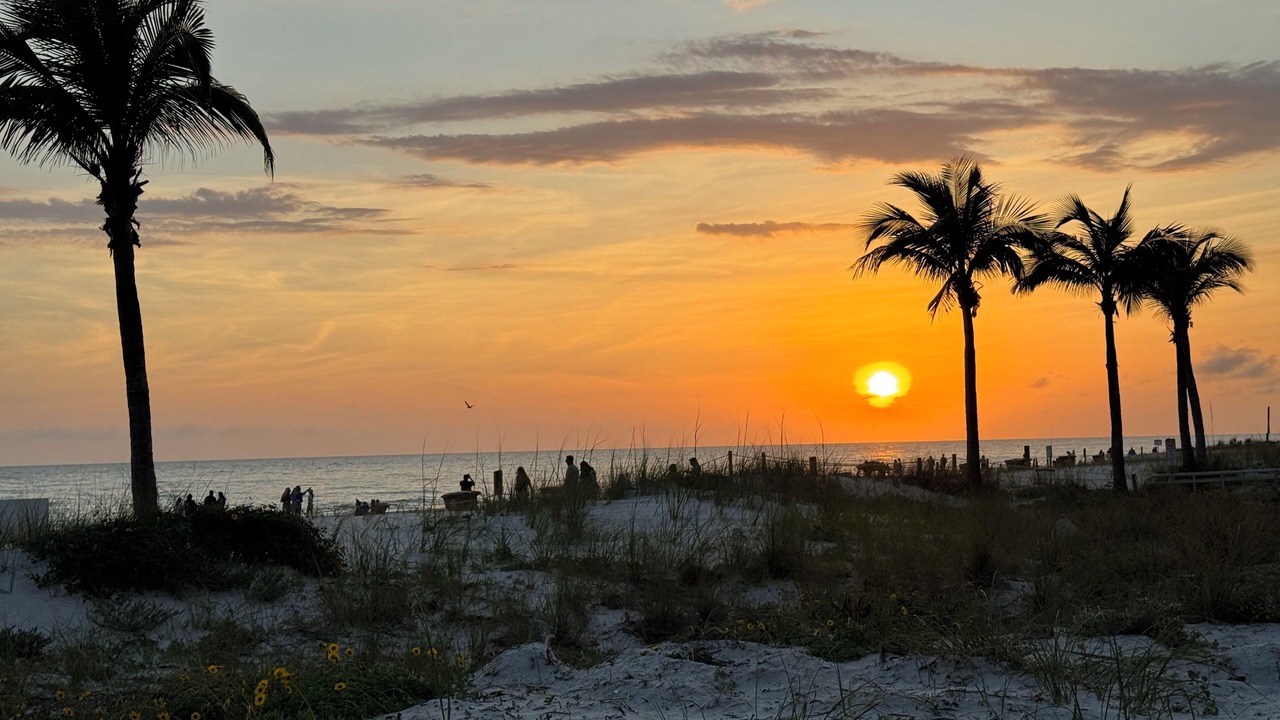 Photo of Others in Madeira Beach
