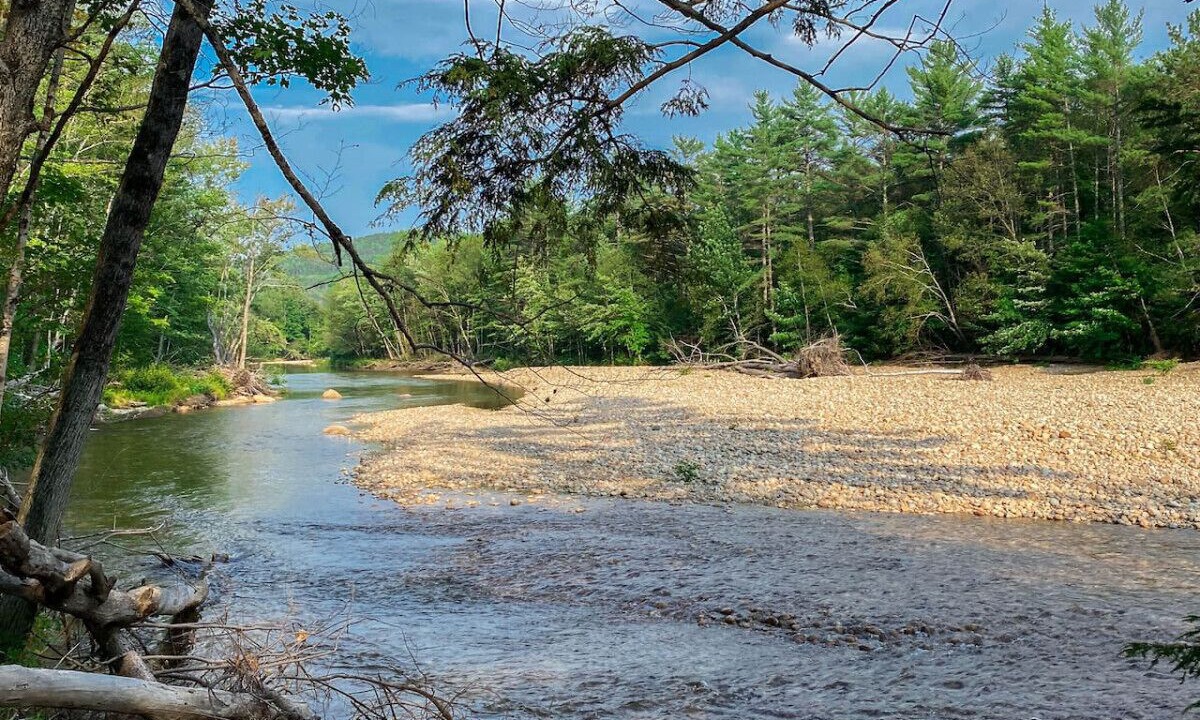 Photo of Others in Birchview by the Saco