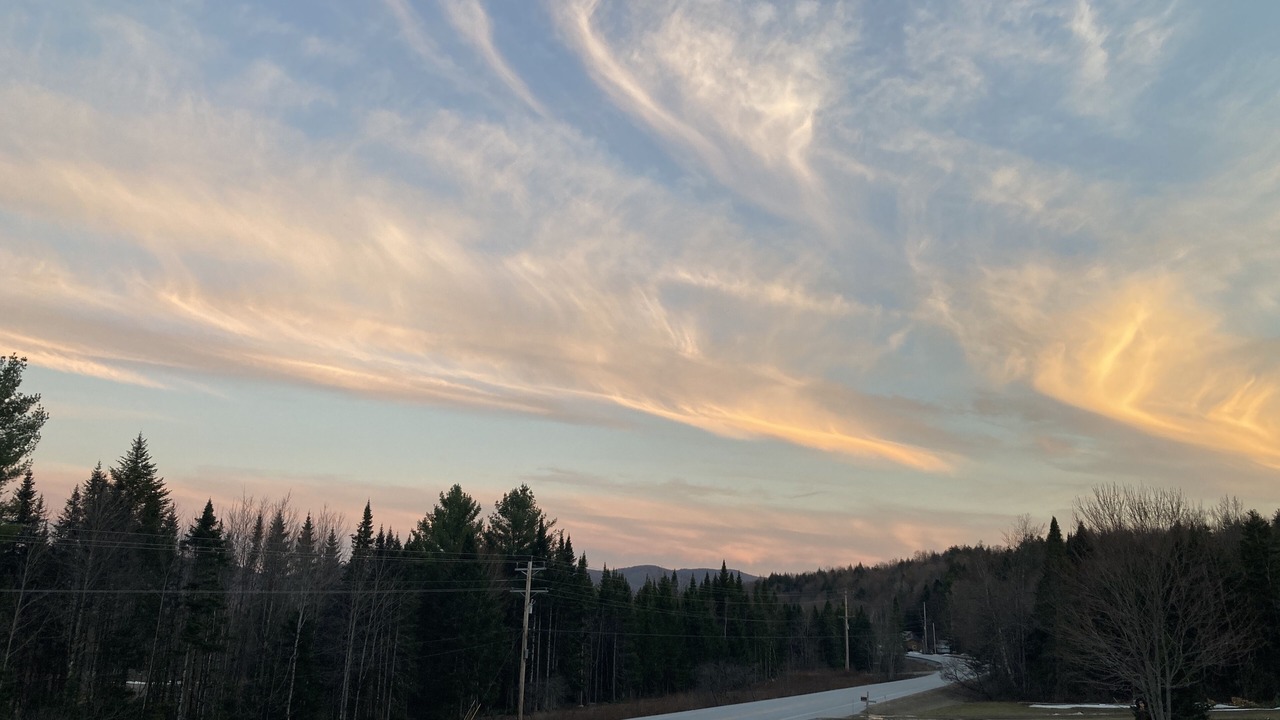 Photo of Others in Green Mountains