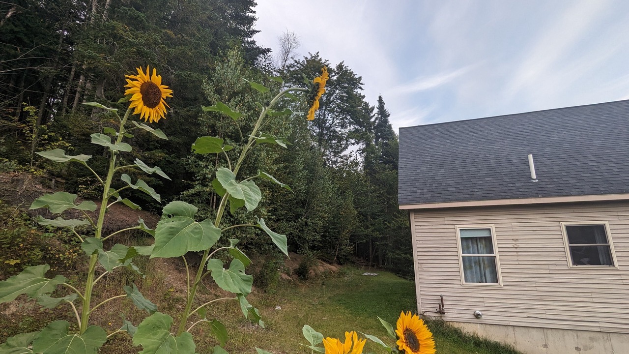 Photo of Outdoor in Green Mountains