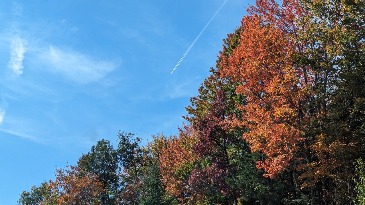 Photo of Others in Green Mountains
