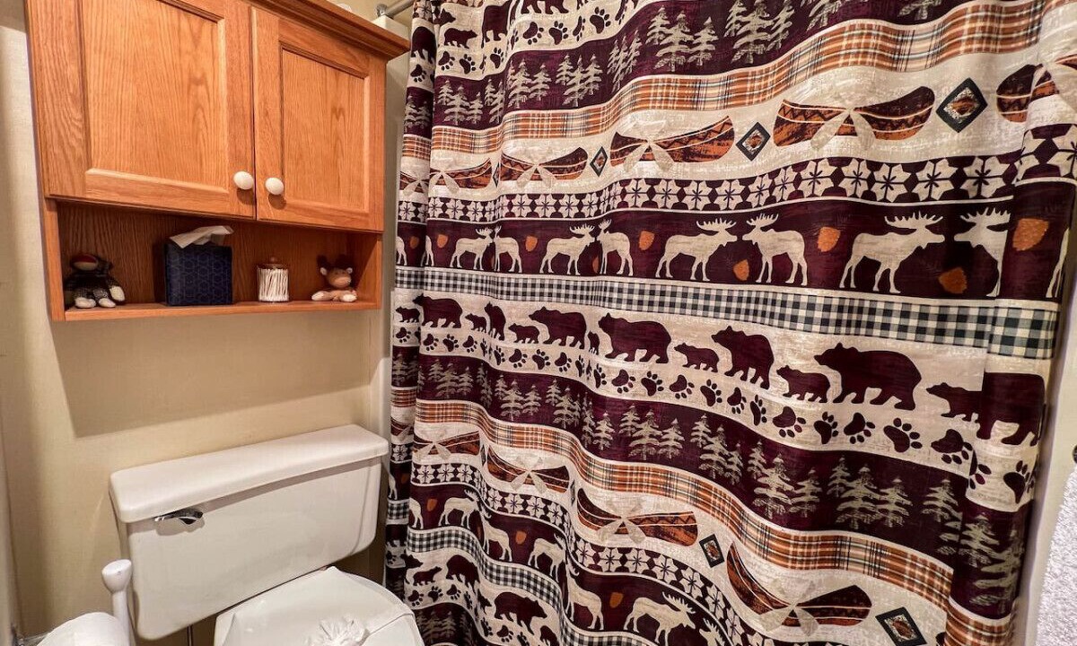 Photo of Bathroom in Bartlett