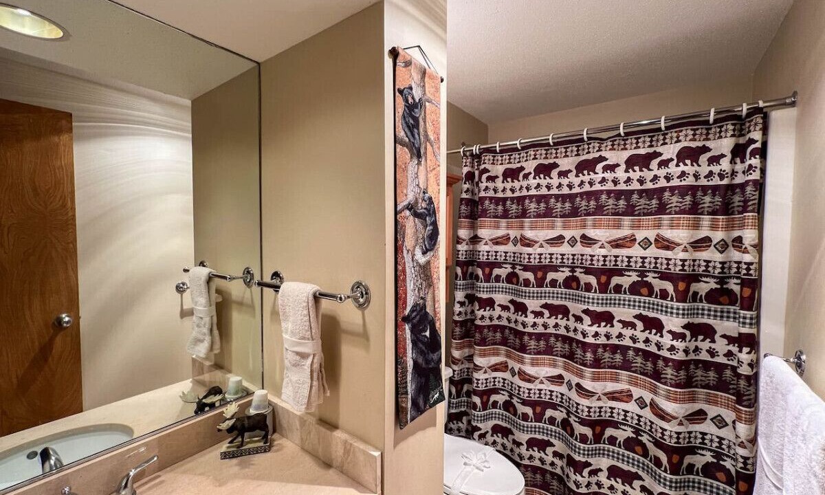 Photo of Bathroom in Bartlett