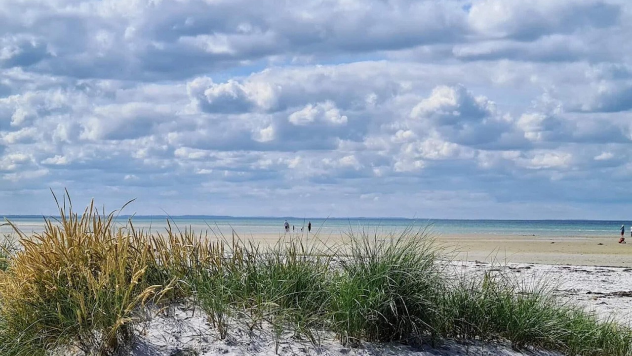 Photo of Others in Bønnerup Strand