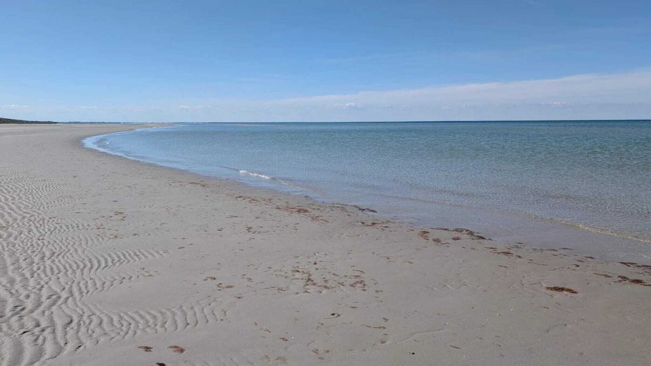 Photo of Others in Bønnerup Strand