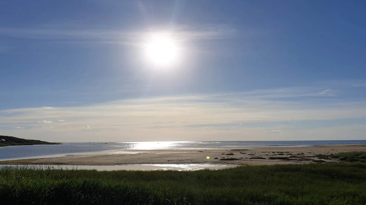 Photo of Others in Bønnerup Strand