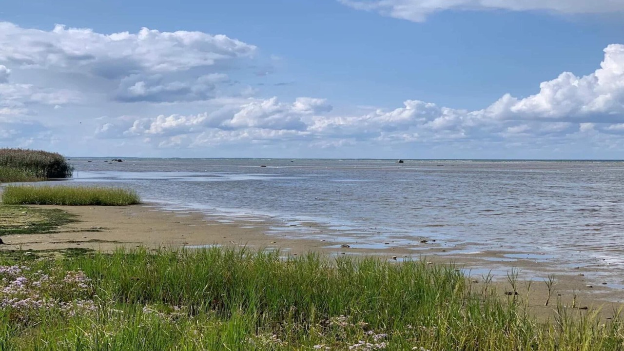 Photo of Others in Bønnerup Strand