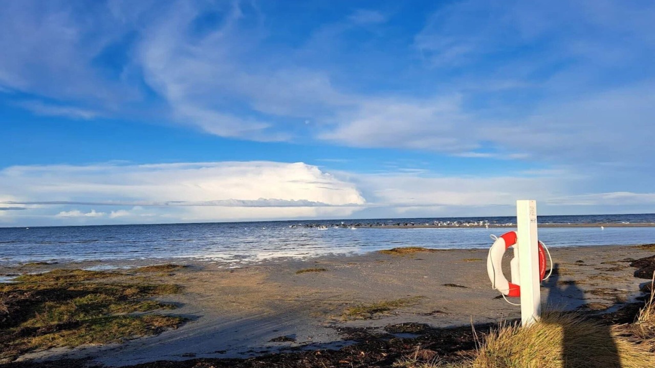 Photo of Others in Bønnerup Strand