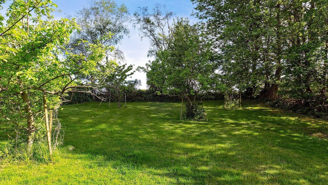 Photo of Outdoor in Tranekaer