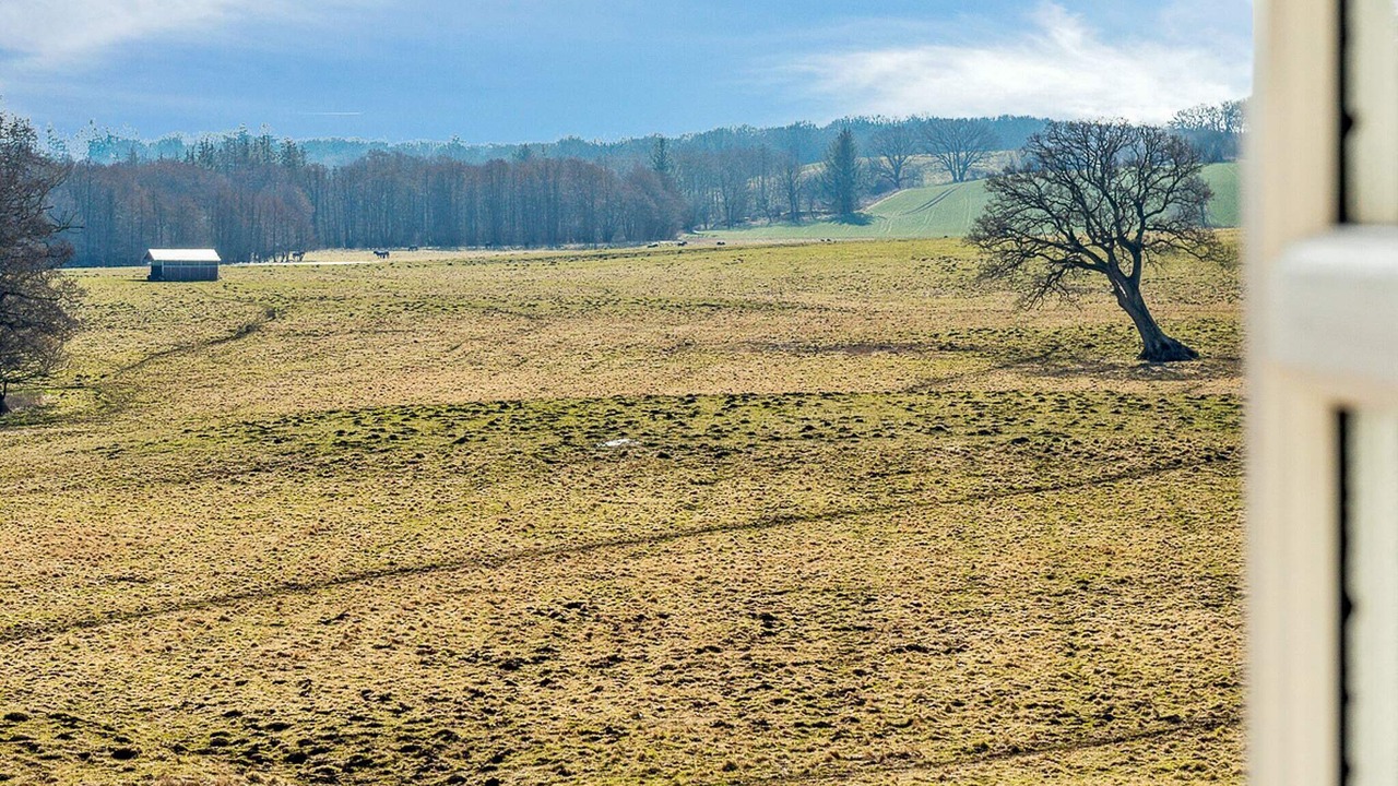 Photo of Others in Tranekaer