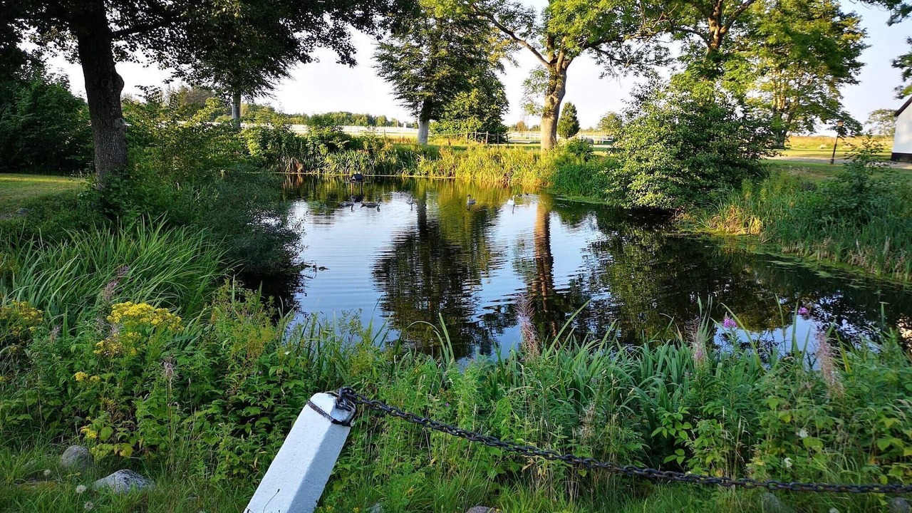 Photo of Others in Frederikshavn