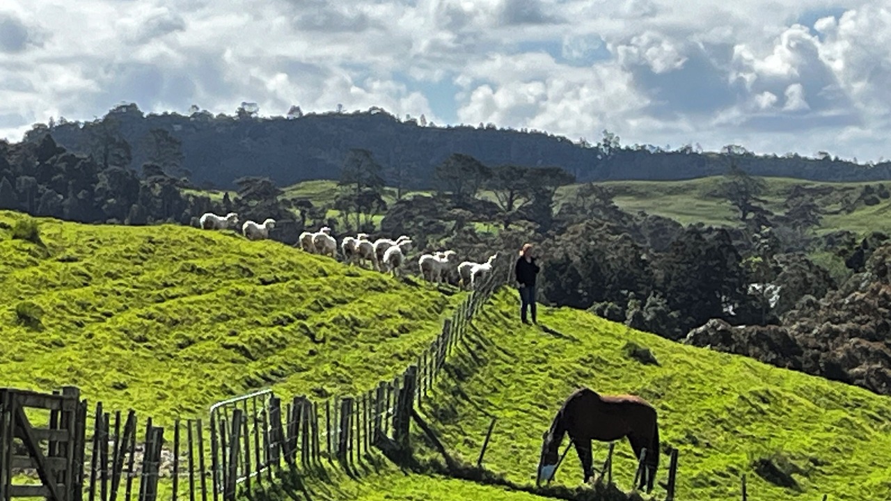 Photo of Others in Waiatarua