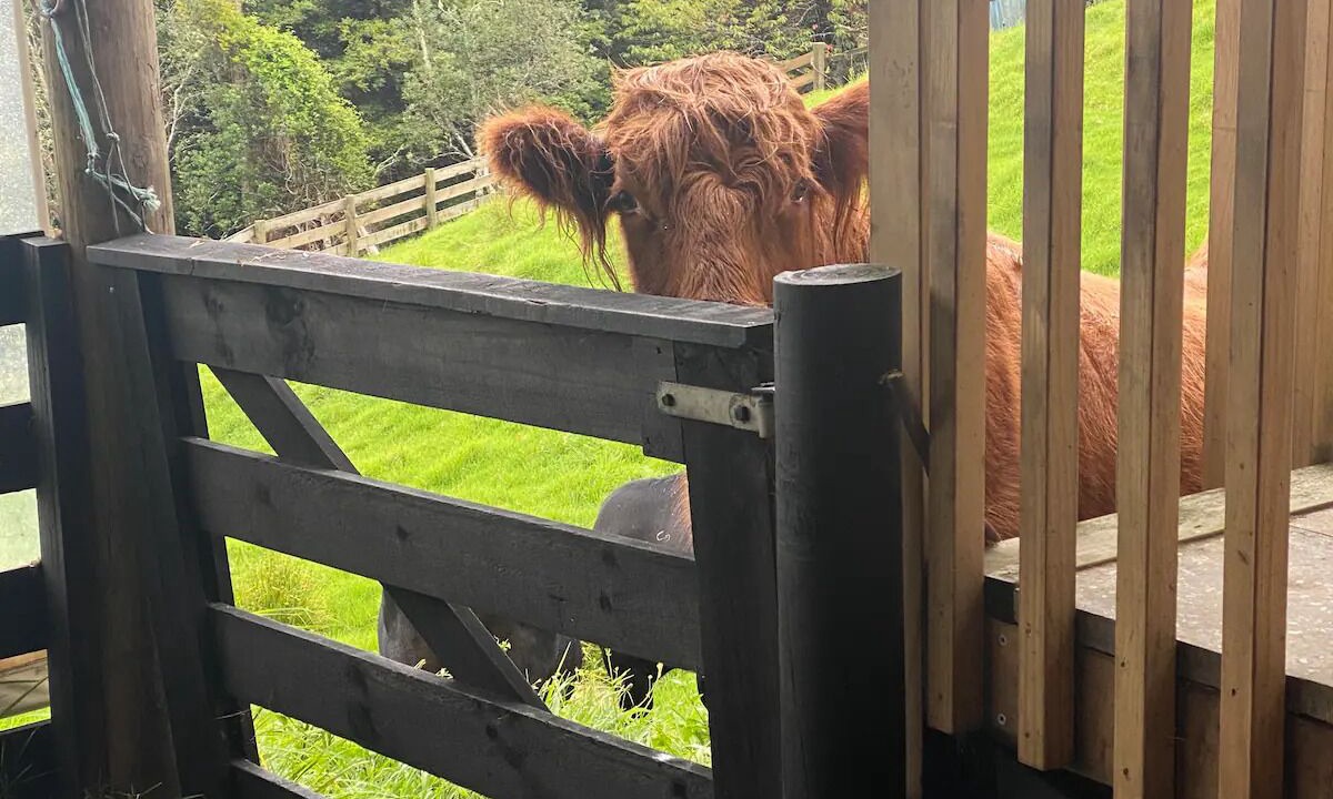Photo of Outdoor in Waiatarua