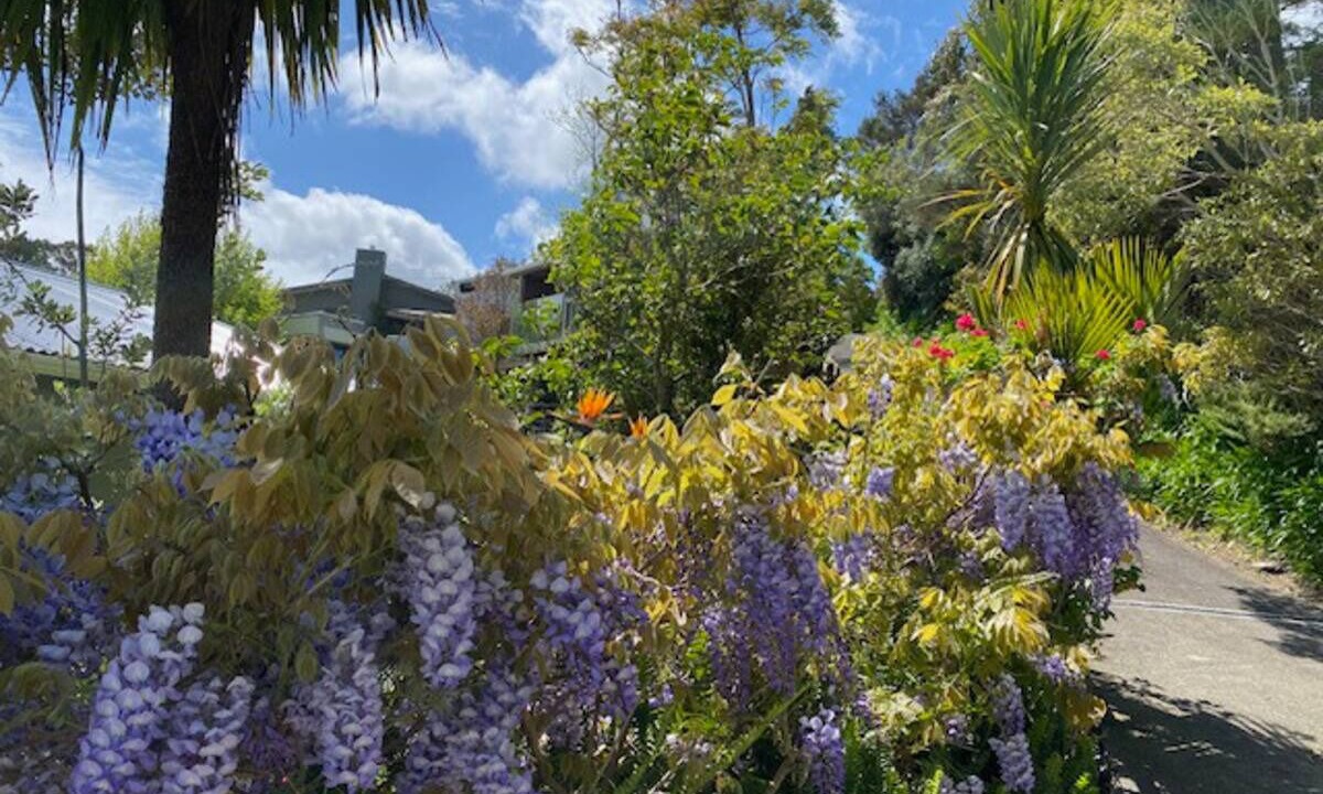 Photo of Outdoor in Waiatarua