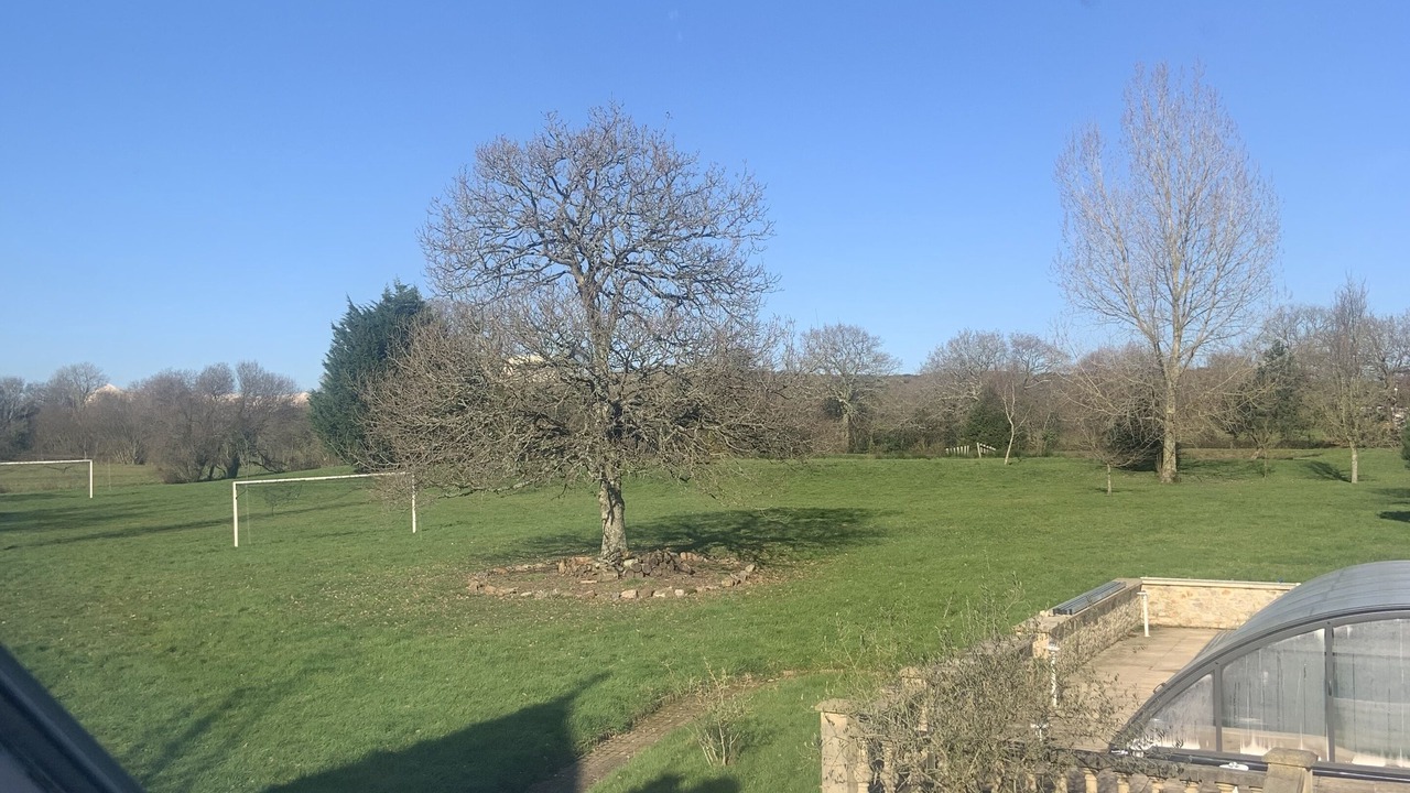 Photo of Others in Montebourg