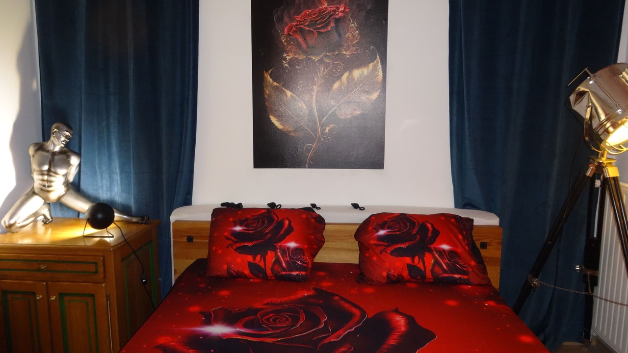 Photo of Bedroom in Cesson-Sevigne
