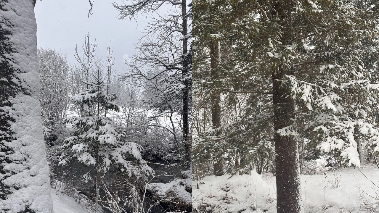 Photo of Outdoor in Gsteig