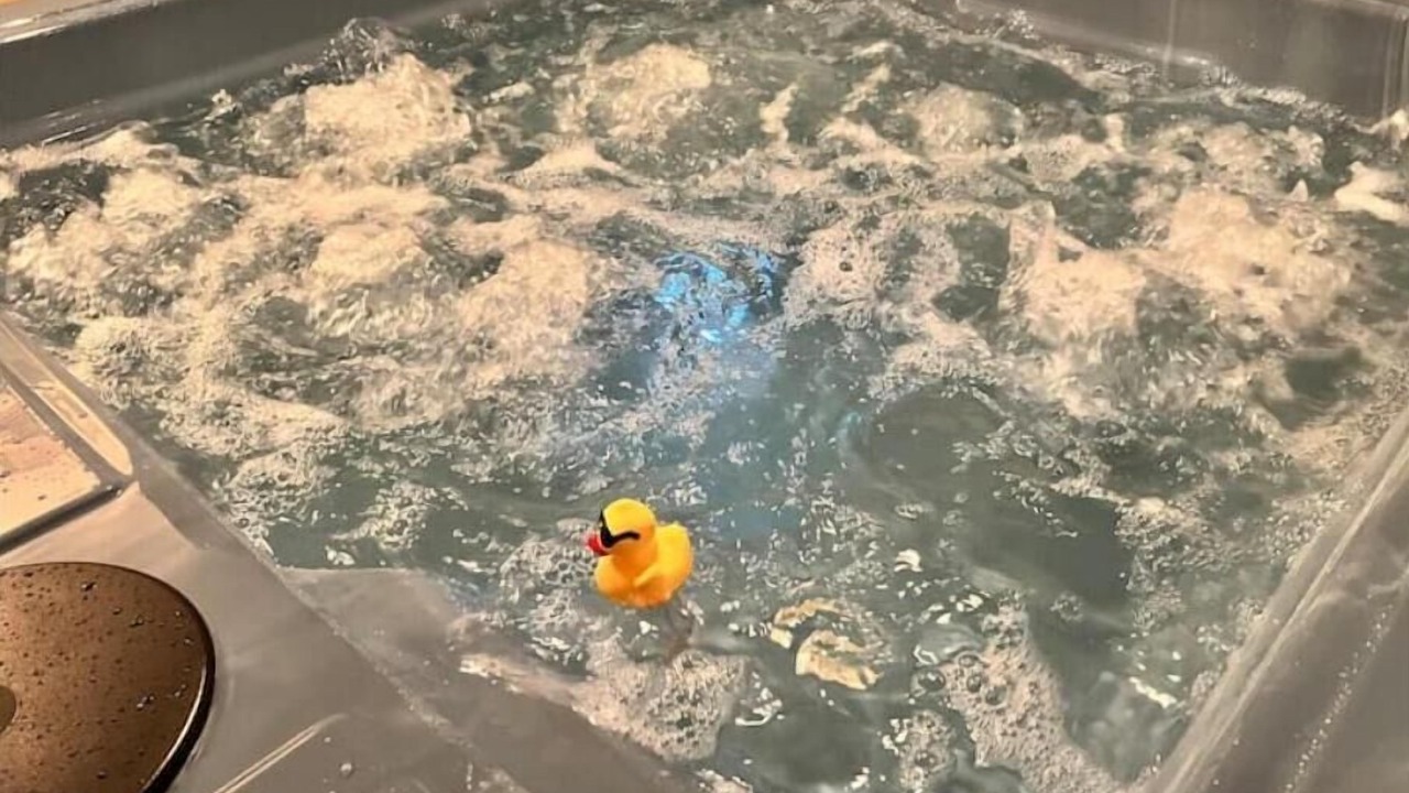 Photo of Others in Mechanic Falls