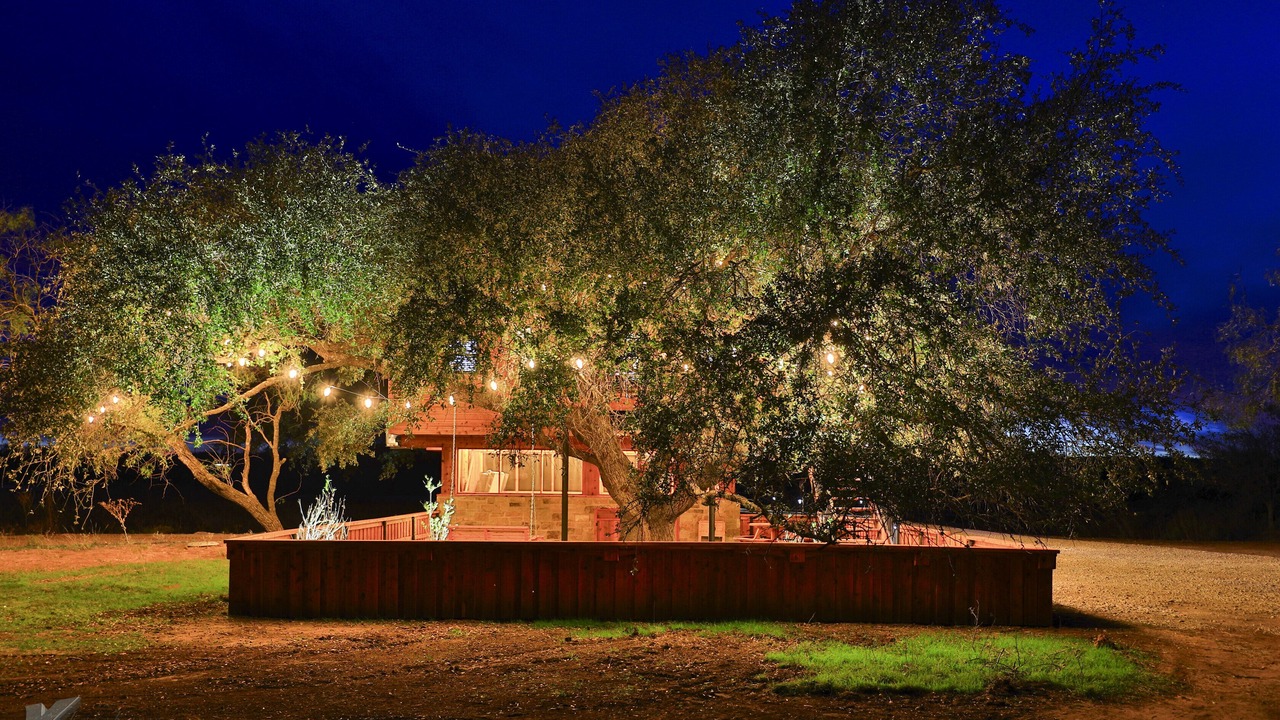 Photo of Outdoor in Baird