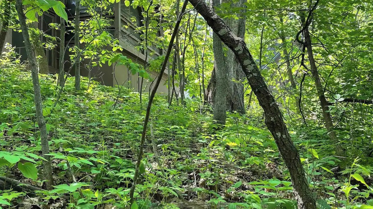 Photo of Others in De Soto