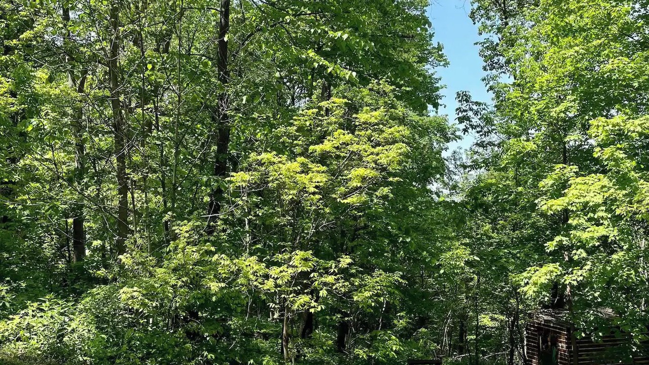 Photo of Outdoor in De Soto