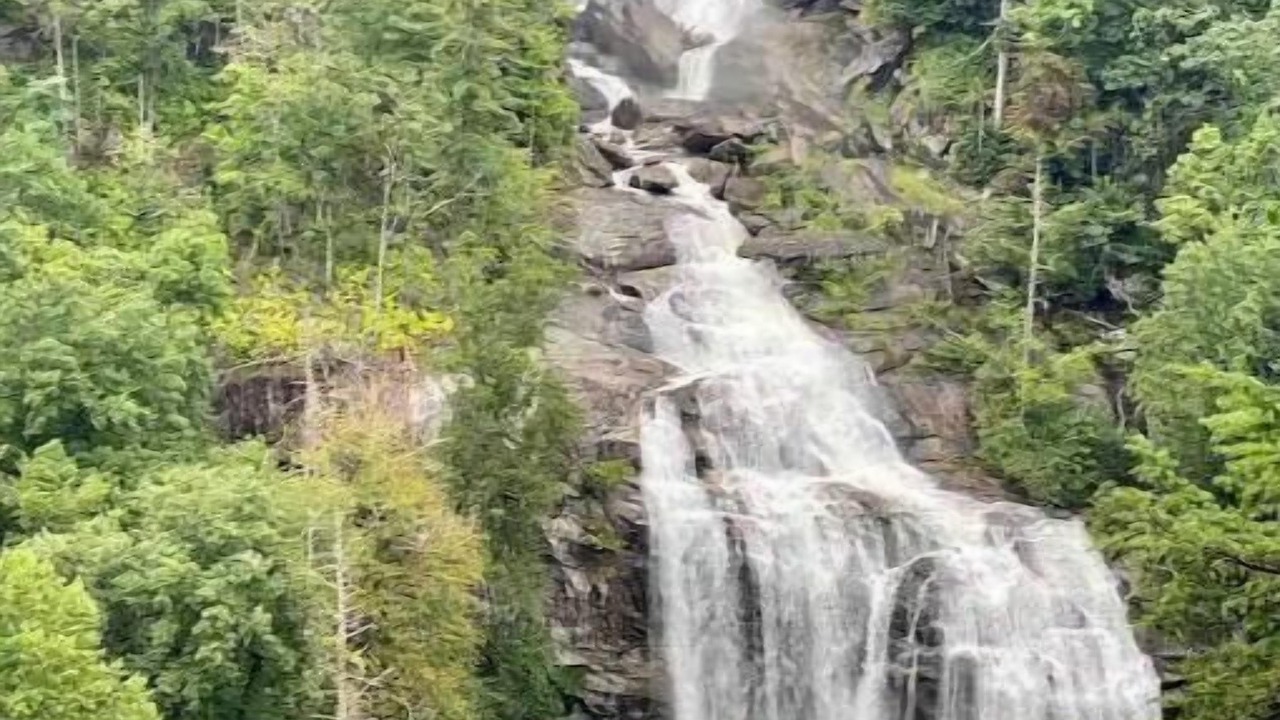 Photo of Others in Pickens