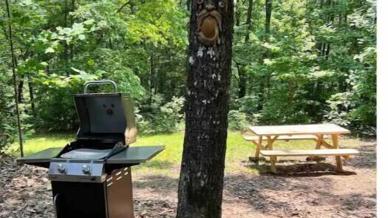 Photo of Outdoor in Pickens