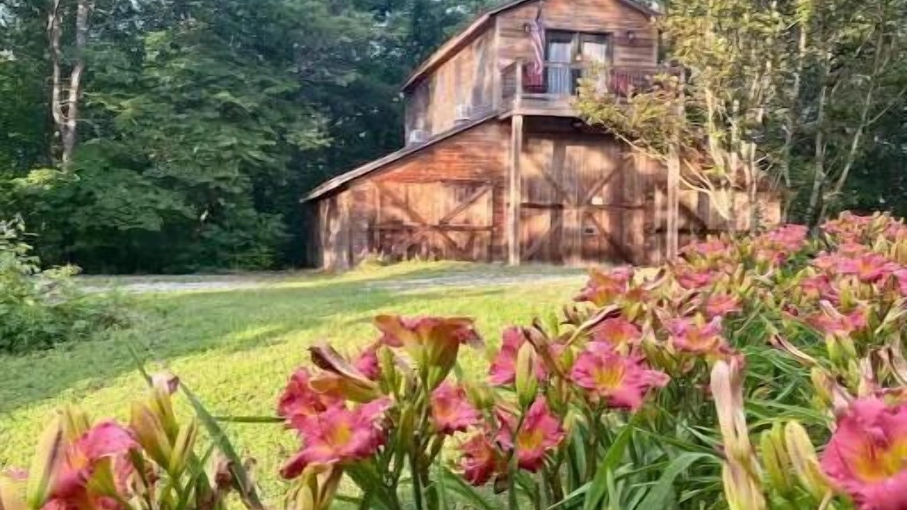 Photo of Outdoor in Pickens