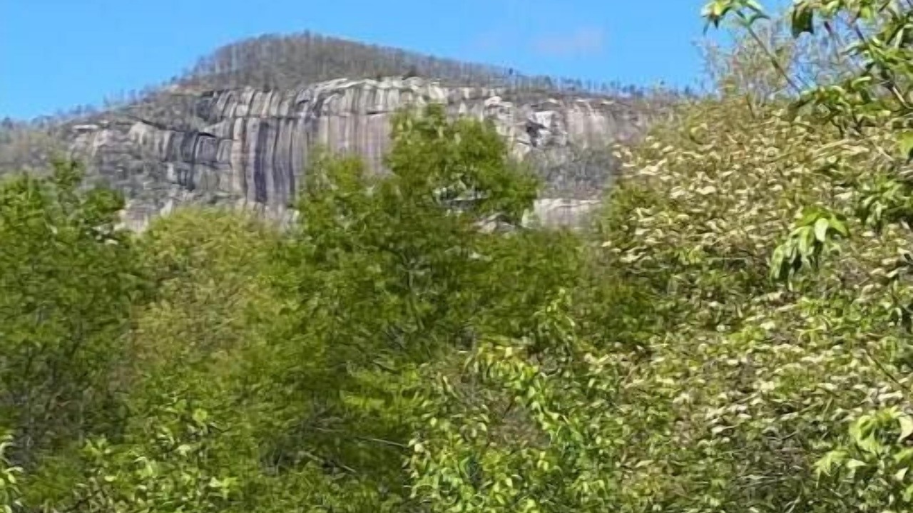 Photo of Outdoor in Pickens