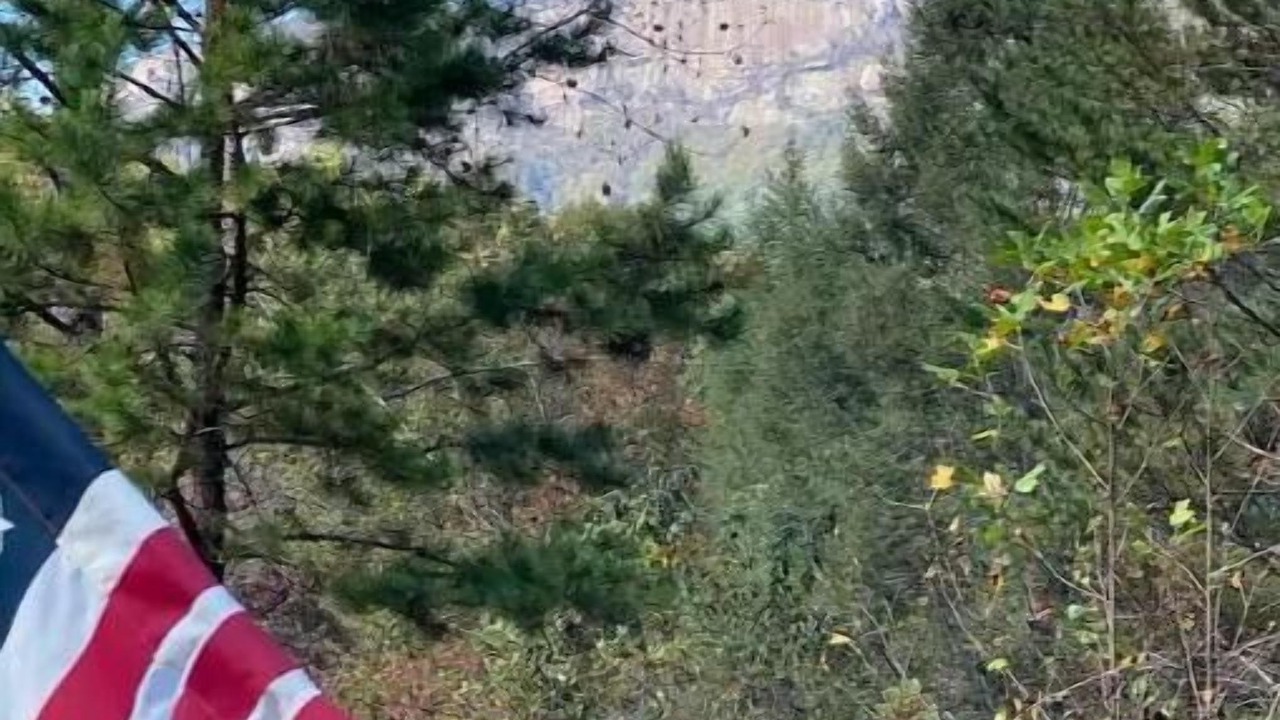 Photo of Outdoor in Pickens