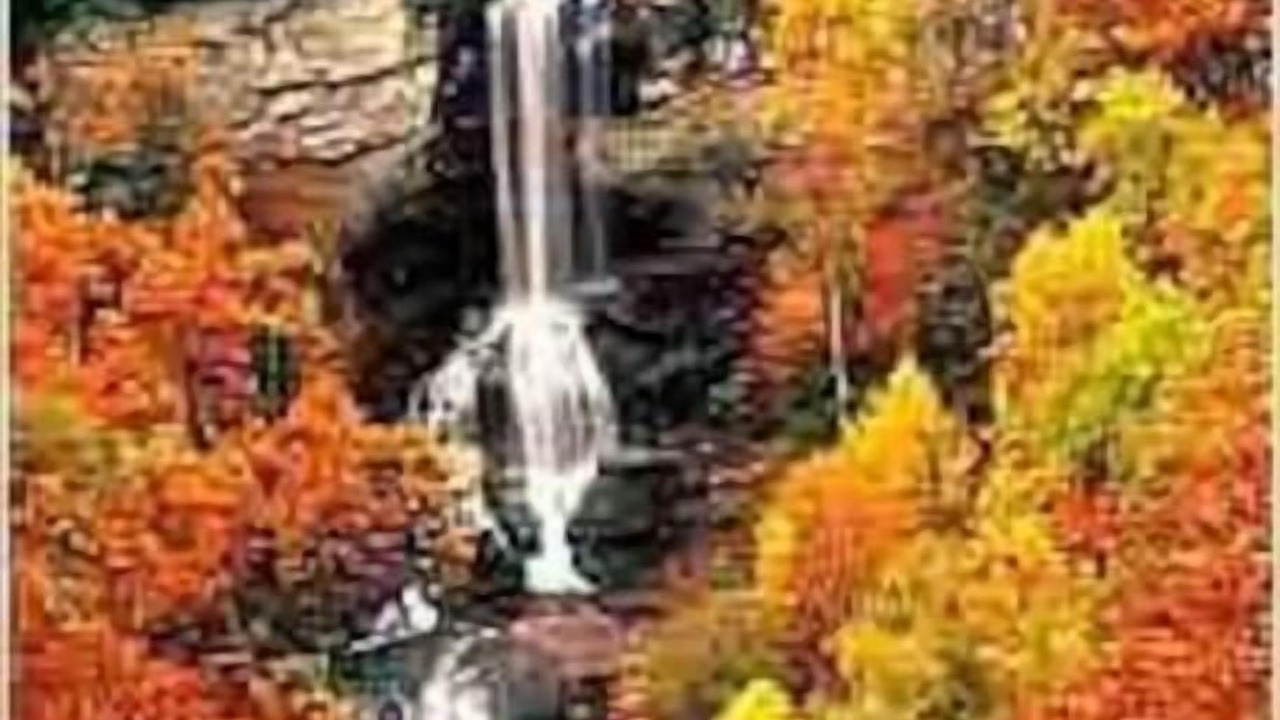 Photo of Outdoor in Pickens