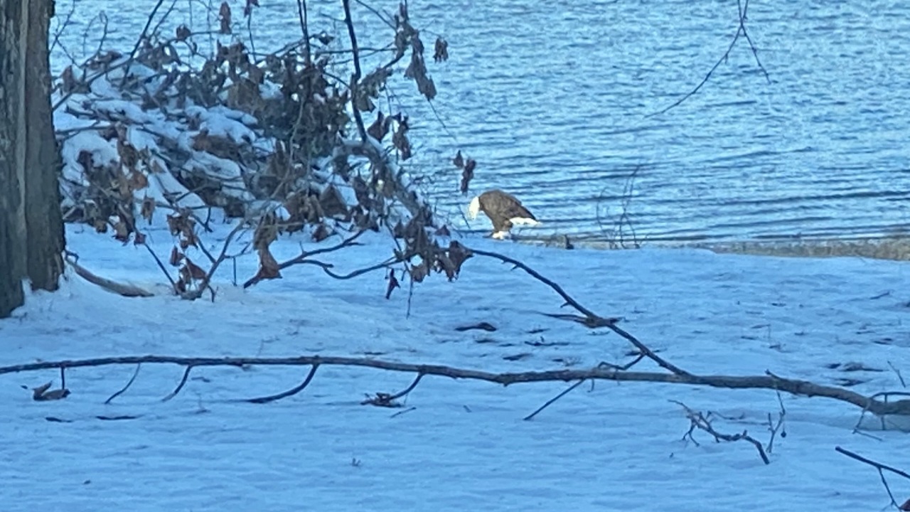 Photo of Outdoor in Bonnots Mill