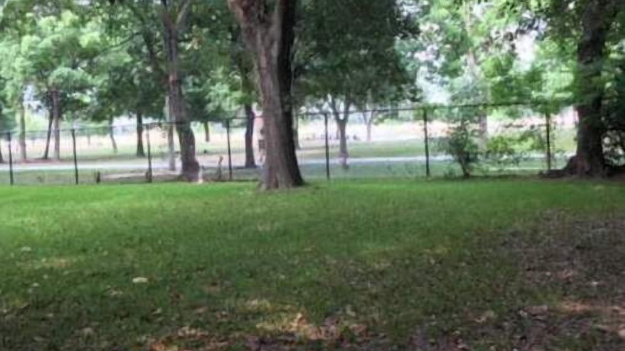 Photo of Others in Katy