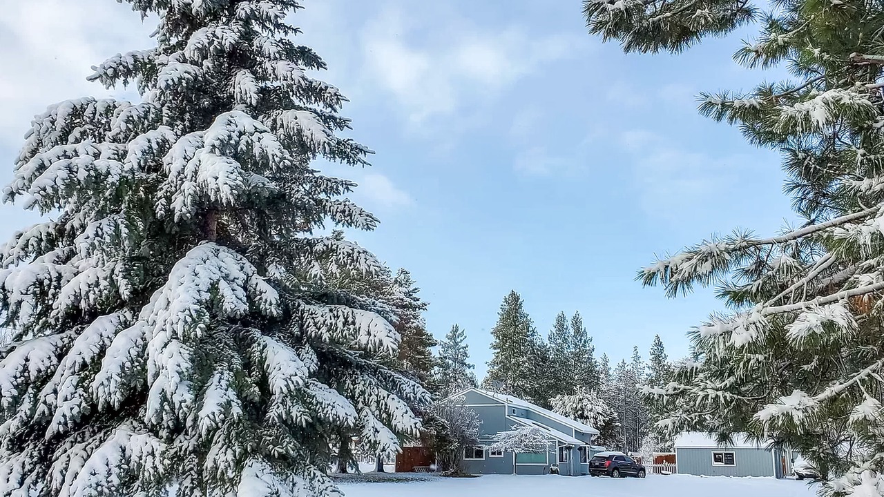 Photo of Outdoor in Deschutes River Woods
