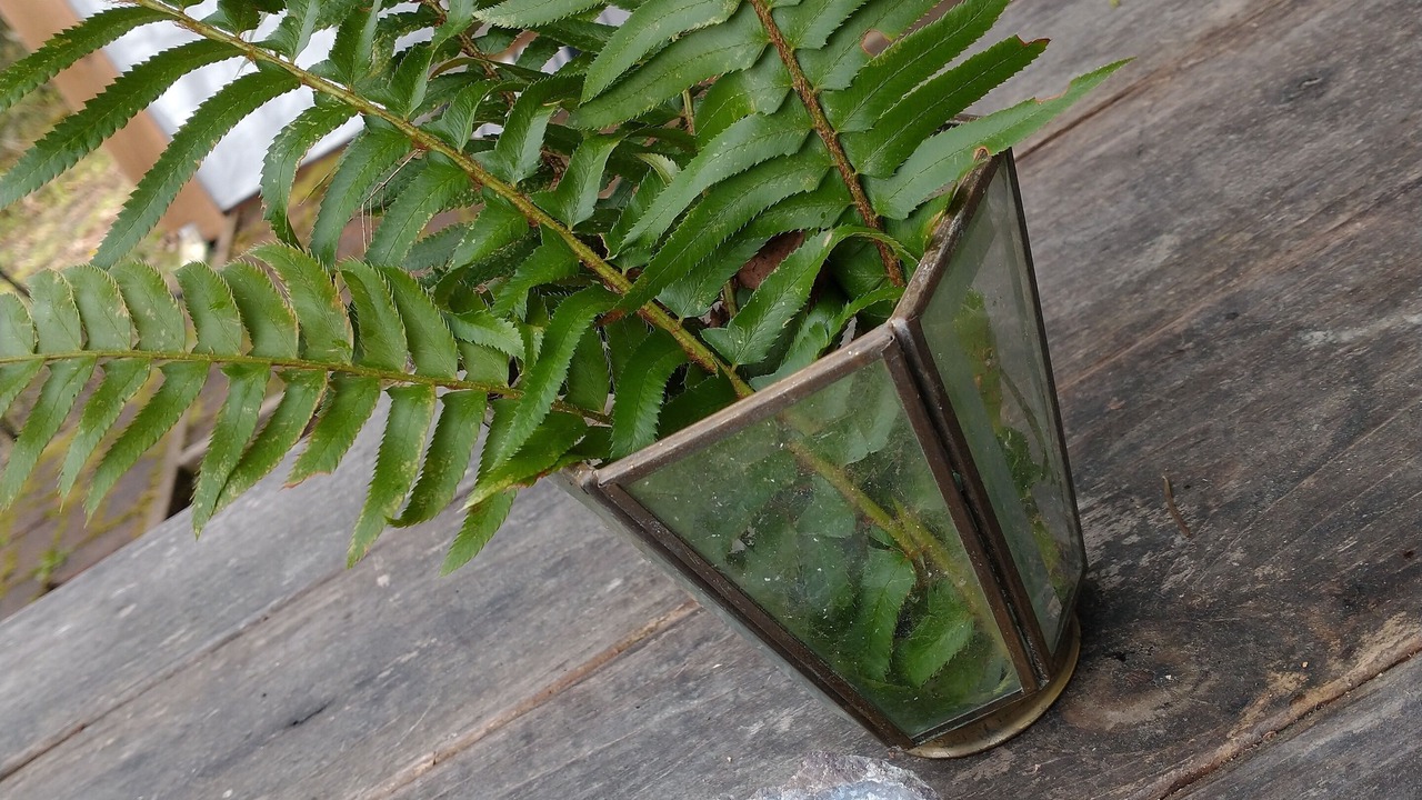 Photo of Others in Nordland