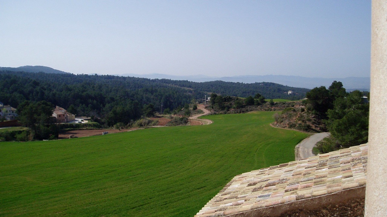 Photo of Others in Maians