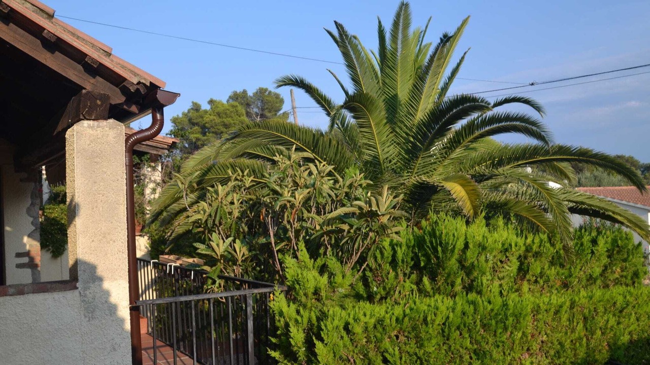 Photo of Outdoor in Torroella de Montgri