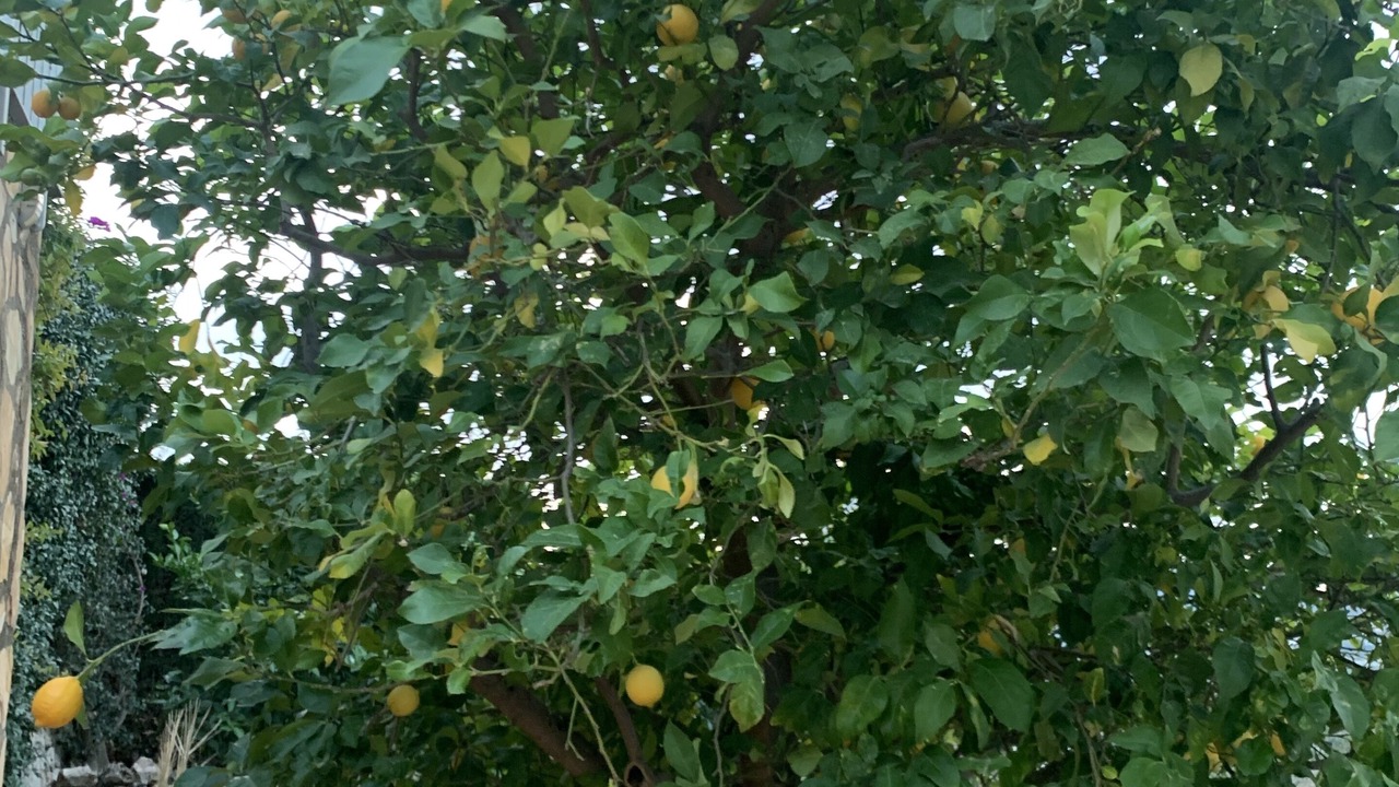 Photo of Outdoor in Pego
