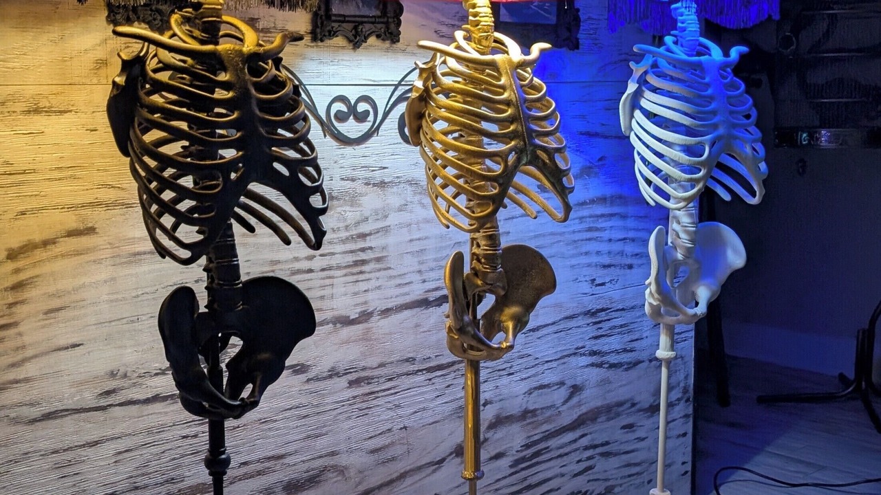 Photo of Others in Tampa Heights