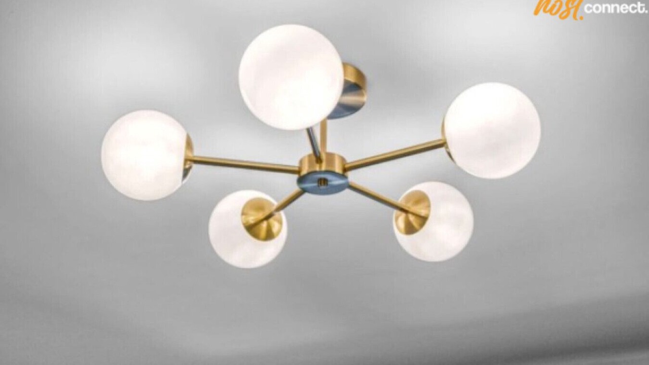 Photo of Others in Whitburn