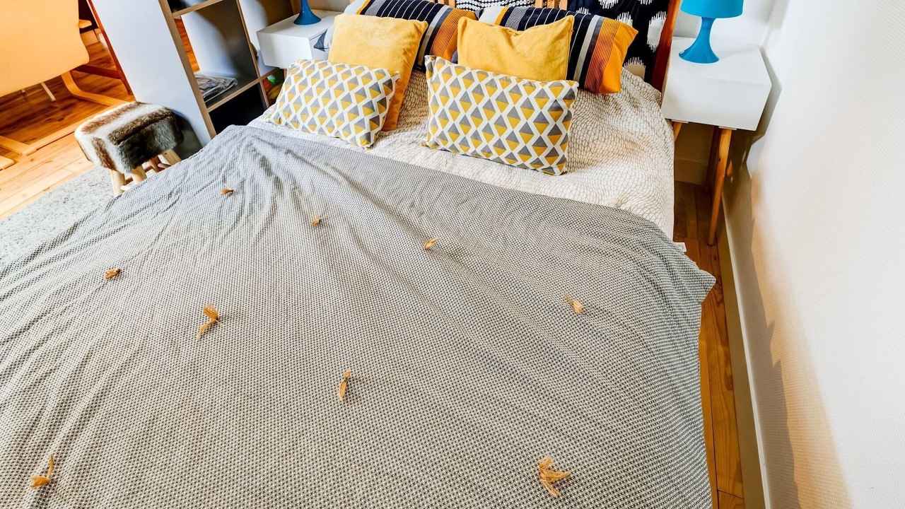 Photo of Others in Isigny-sur-Mer