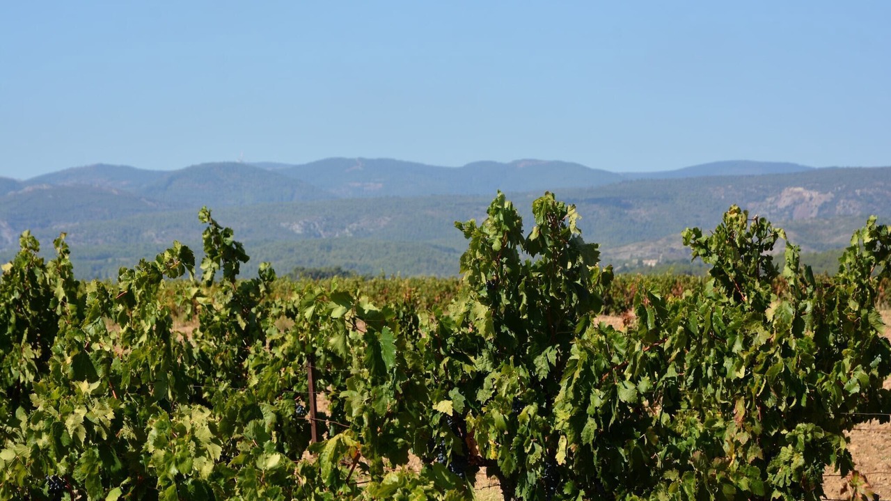 Photo of Others in Lezignan-Corbieres