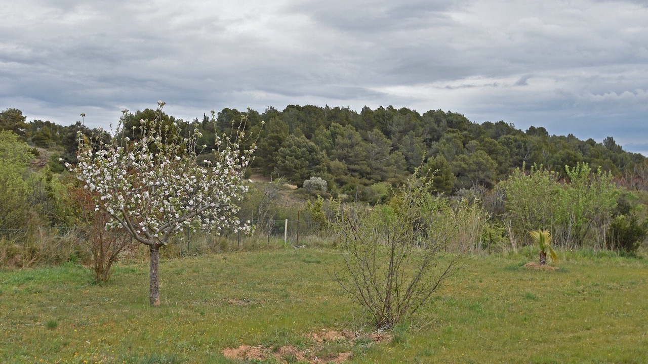 Photo of Outdoor in Lezignan-Corbieres