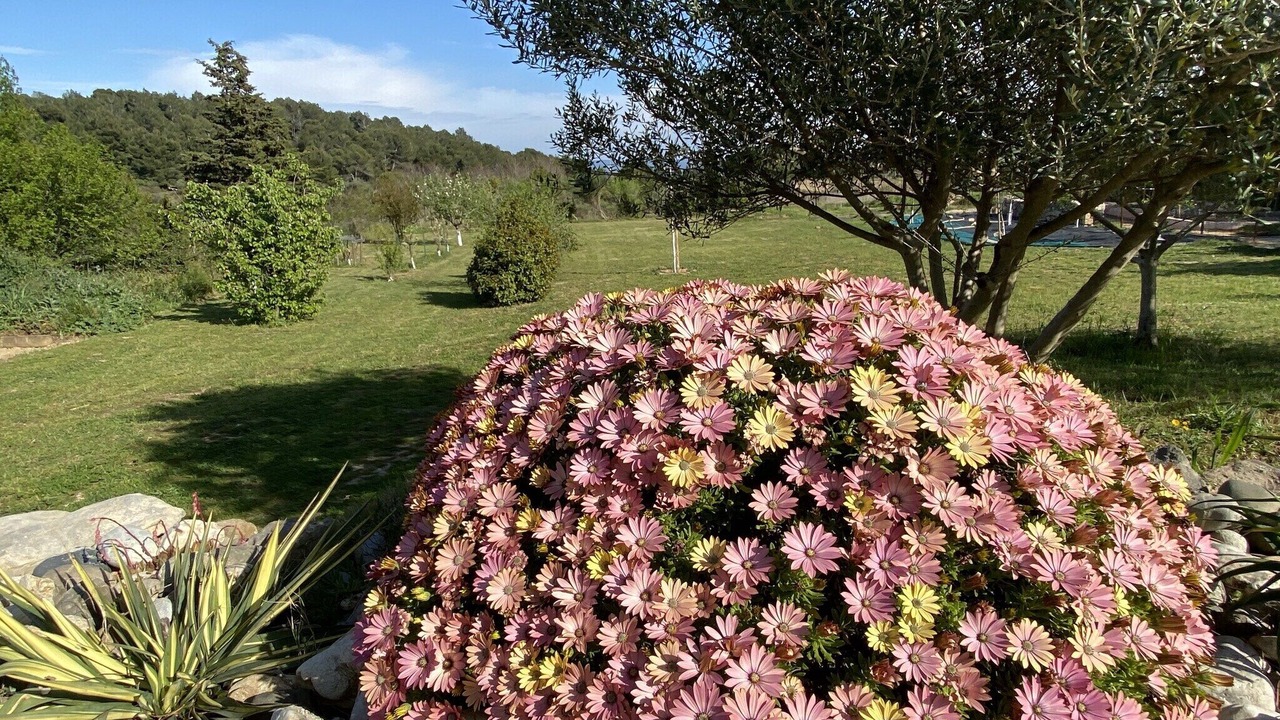 Photo of Outdoor in Lezignan-Corbieres