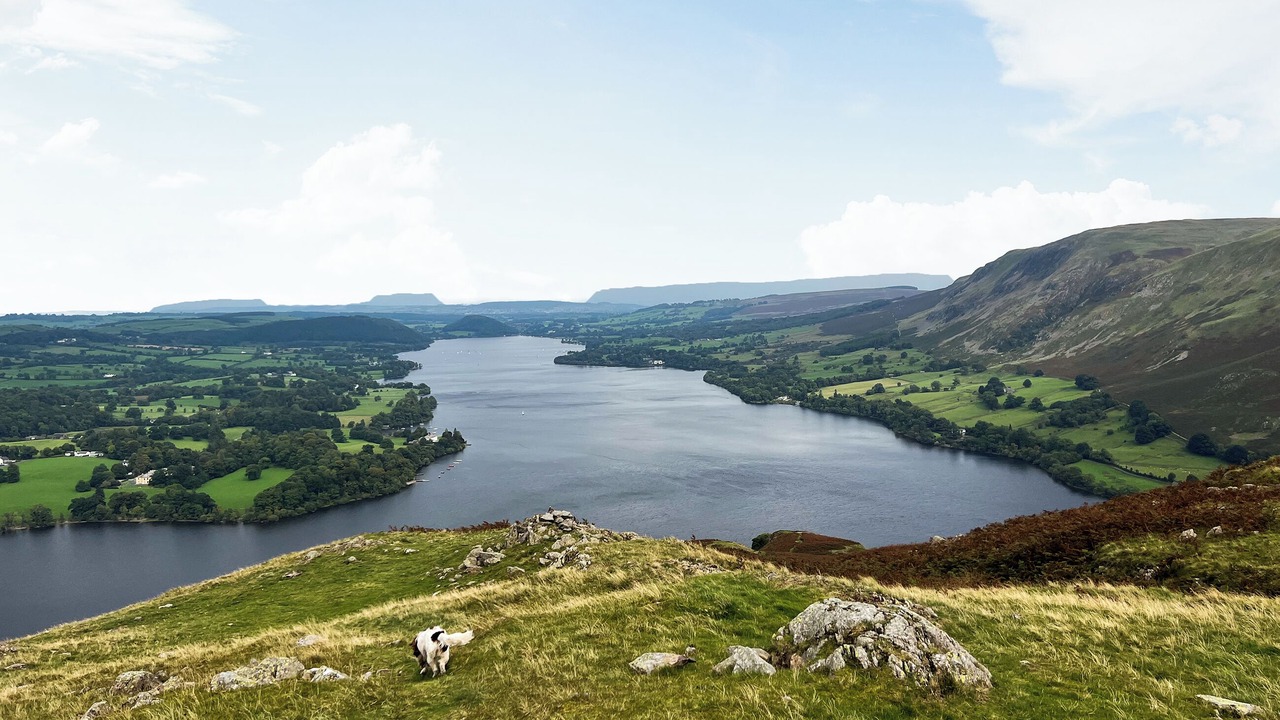 Photo of Others in Askham