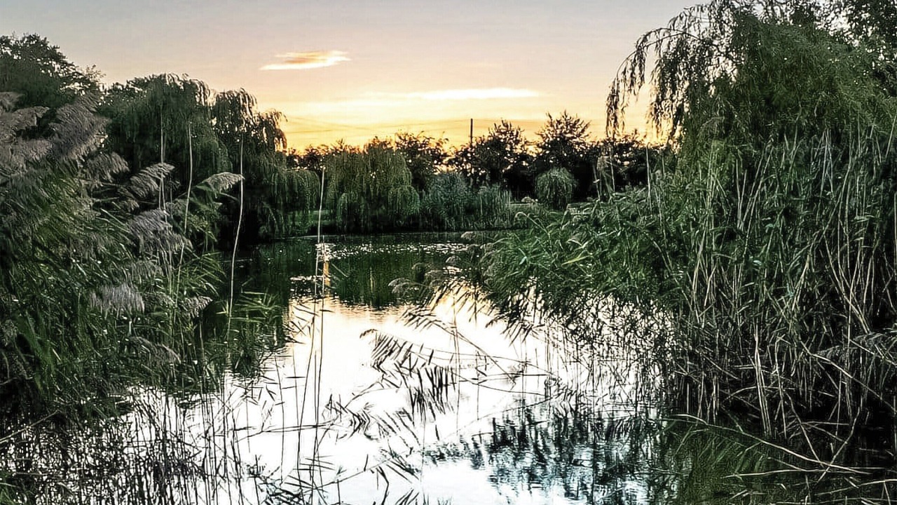 Photo of Others in Old Leake