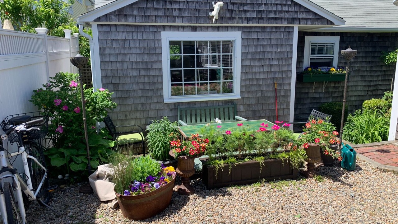 Photo of Outdoor in Provincetown