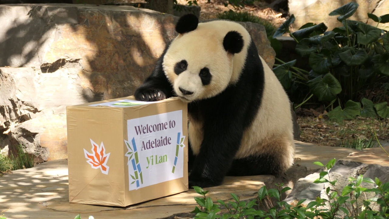 Photo of Others in Adelaide Central Business District